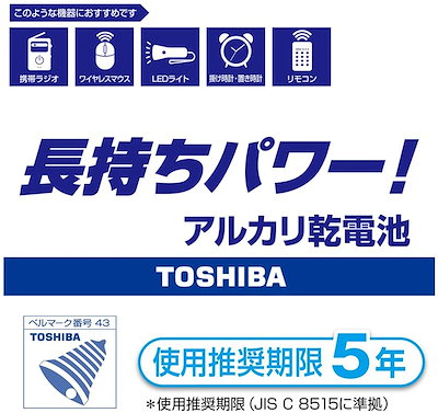 人気得価 アルカリ乾電池 単2形1パック100本入 : 生活家電 超激安即納