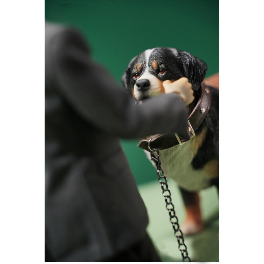 JXK 1/6 サイズ バーニーズマウンテンドッグ フィギュア 19.5CM スタチュー リアル 犬 動物 プラモデル 模型 プレミアム オリジナル プレゼント 置物 JXK 1/6 サイズ バーニーズマウンテンドッグ フィギュア 19.5CM スタチュー リアル 犬 動物 プラモデル 模型 プレミアム オリジナル プレゼント 置物