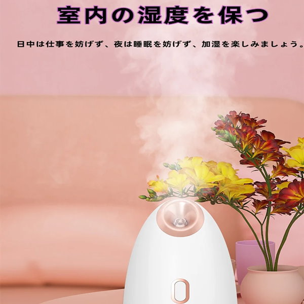 nanocare 美顔器 スチーム機能付き Qoo10] 【乾燥対策】フェイススチーマー 美顔器