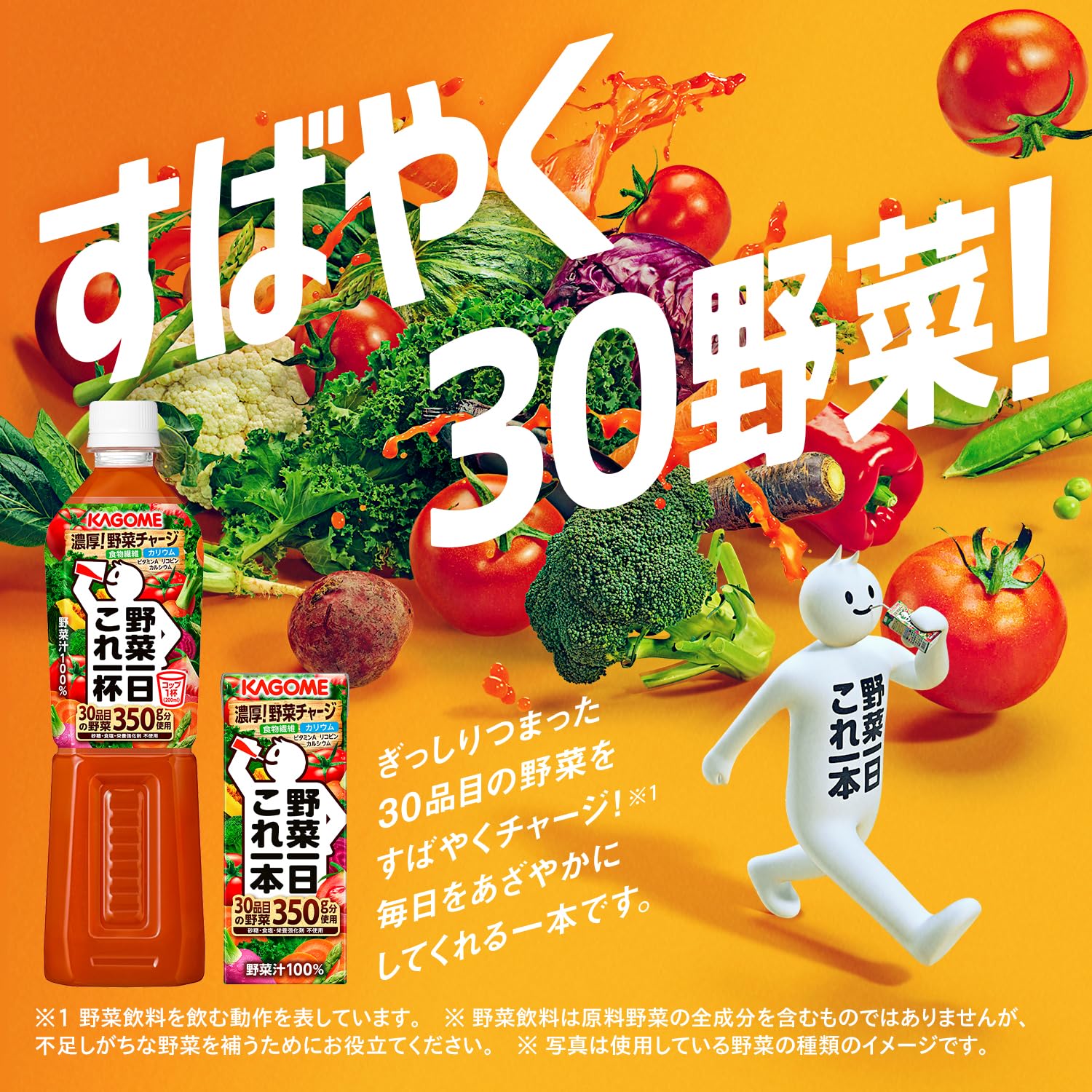 カゴメ 野菜一日これ一杯 スマートPET 720ml×15本 カゴメ 野菜一日これ一杯 スマートPET 720ml×15本