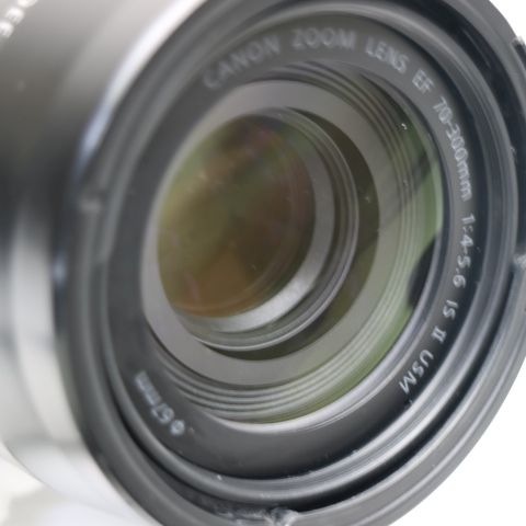 超美品 キャノン EF70-300mm F4-5.6 IS II USM 望遠ズームレンズ EFマウント 即日発送 土日祝発送OK 95