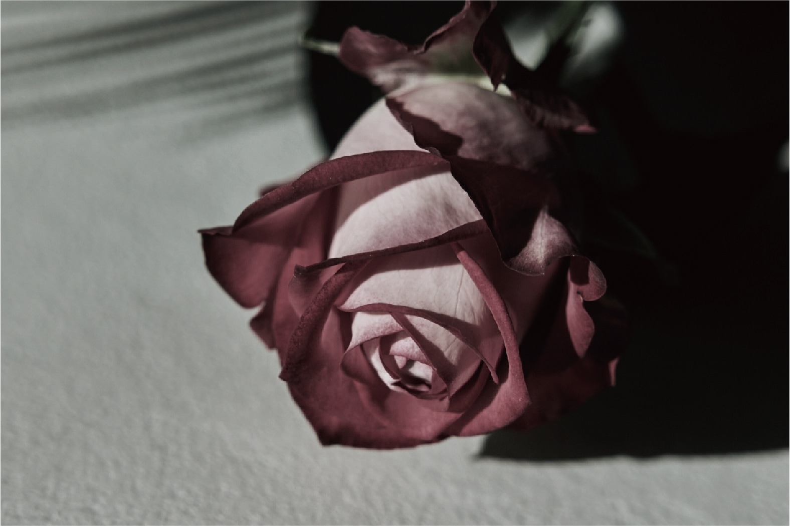 公式_韓国ブランド_室内ディフューザー 150ml, 12種の香り[果物/ムスク/ウッディ/花]