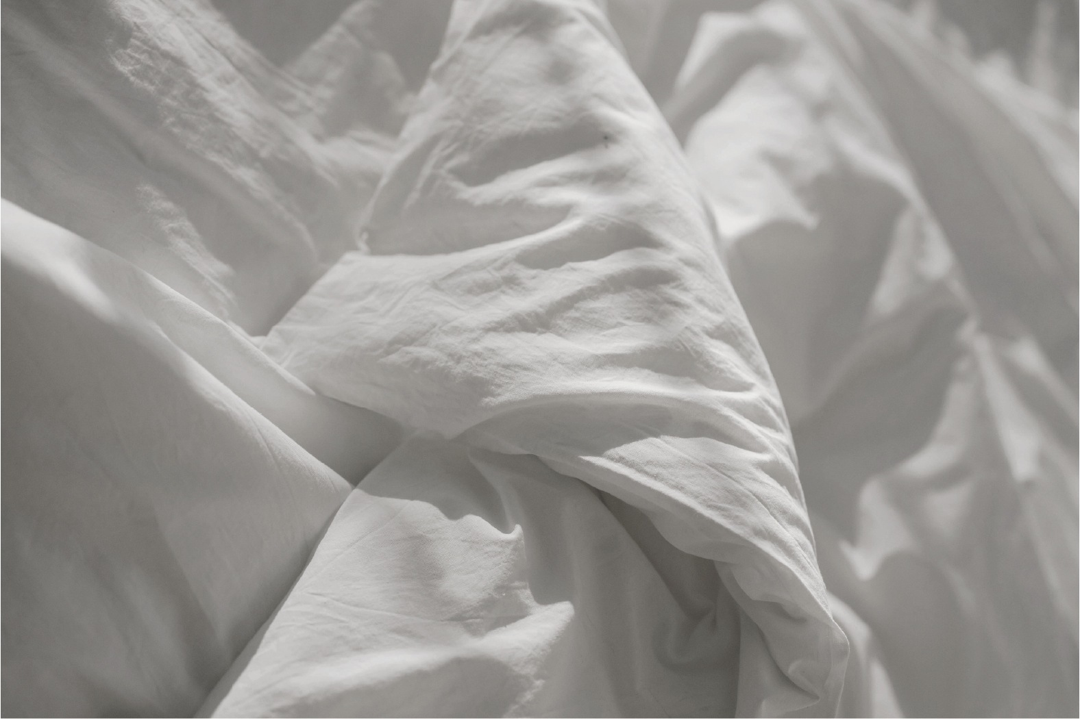 公式_韓国ブランド_室内ディフューザー 150ml, 12種の香り[果物/ムスク/ウッディ/花]