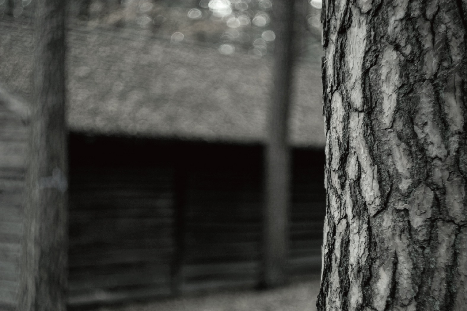 公式_韓国ブランド_室内ディフューザー 150ml, 12種の香り[果物/ムスク/ウッディ/花]