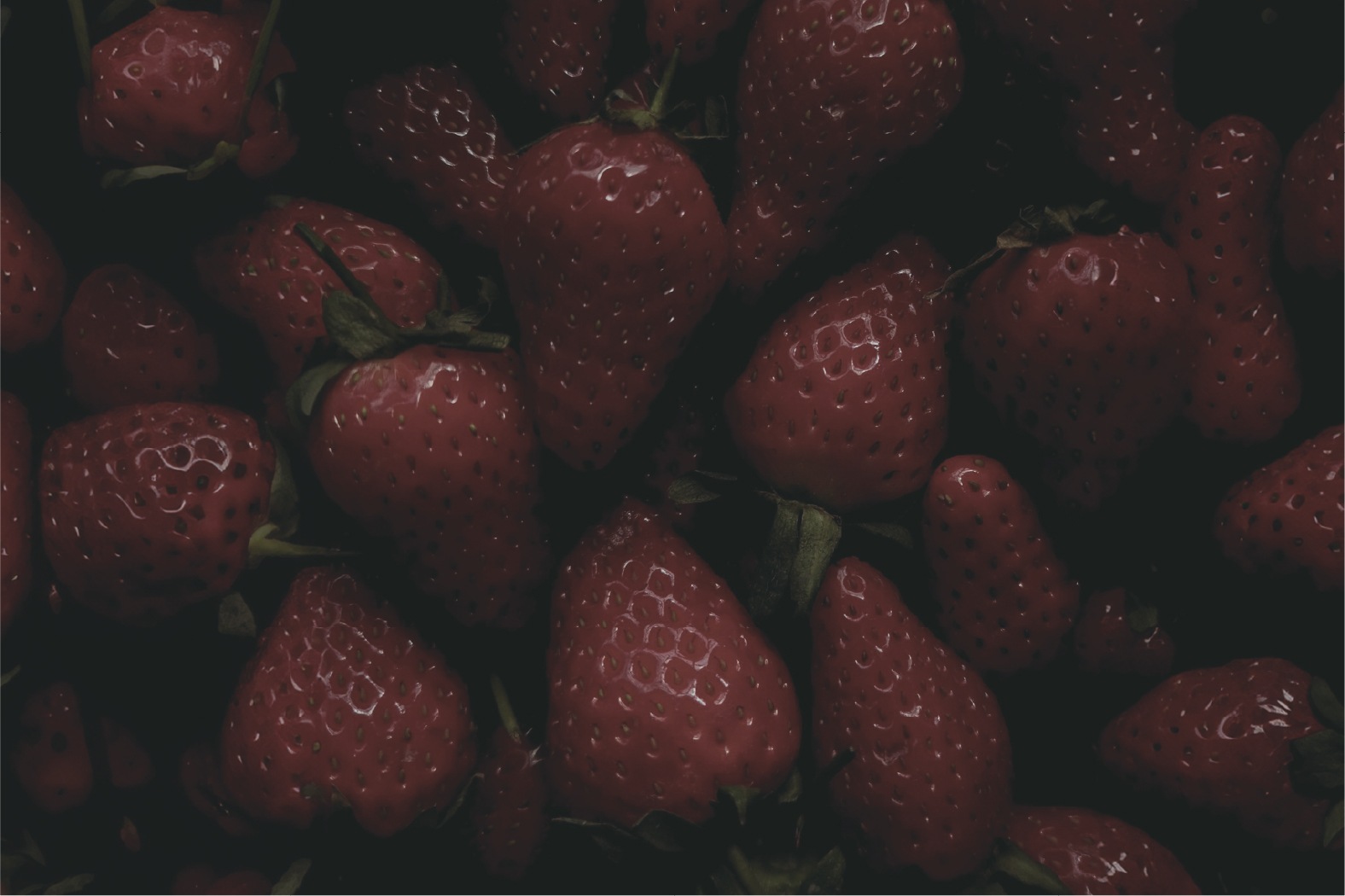 公式_韓国ブランド_室内ディフューザー 150ml, 12種の香り[果物/ムスク/ウッディ/花]