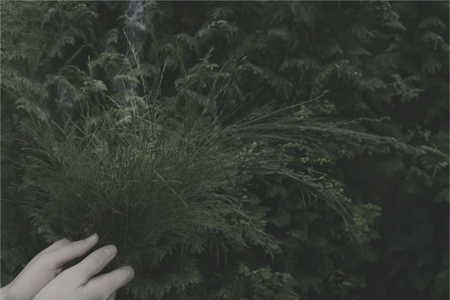 公式_韓国ブランド_室内ディフューザー 150ml, 12種の香り[果物/ムスク/ウッディ/花]