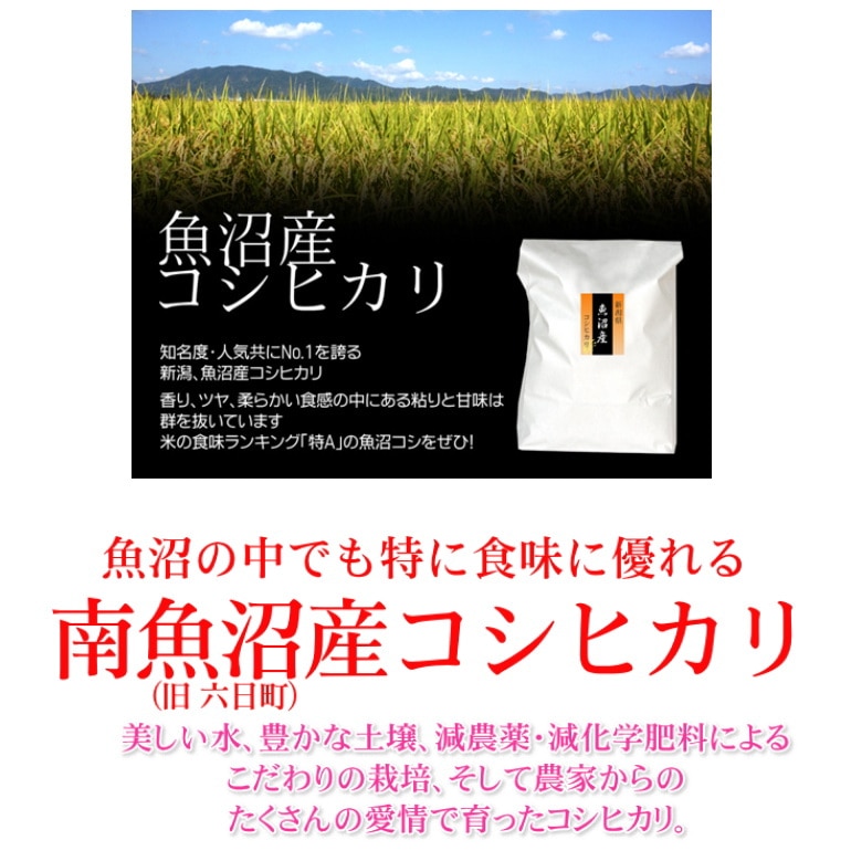 結婚内祝い 無洗米 魚沼産コシヒカリ 5kg メッセージカード付 結婚内祝い 無洗米 魚沼産コシヒカリ 5kg メッセージカード付