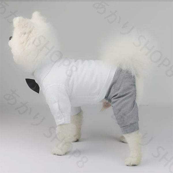犬服　ペットお洋服　ドッグウェアタグセット③ Qoo10] 【激安販売】ペット スーツセット 蝶ネク