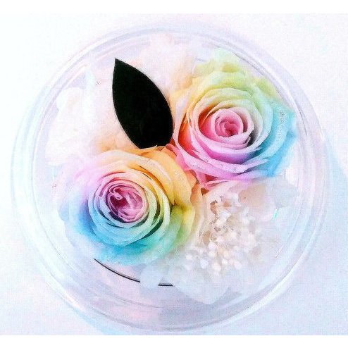 プリザーブドフラワー レインボーローズプチドーム 楽天市場