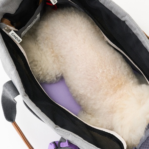 ペットキャリー set ピカブバッグ+コージークッション コンボ 2色 /犬 /猫/犬 服