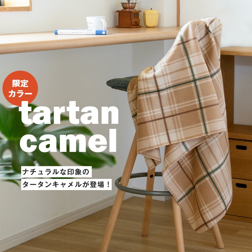 ブランケット ひざ掛け フリース素材 20枚 ロット販売 (宅配) 約70ｘ140cm まとめ買い セット 大判 チェック柄 ひざかけ フリースブランケット