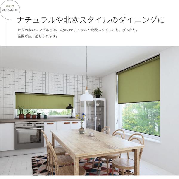 ロールスクリーン オーダー サイズ W61-90×H201-250cm タチカワブラインド グループ 立川機工 日本製 和風 シンプル ナチュラル 設置簡単 賃貸対応 国産 ロールスクリーン オーダー サイズ W61-90×H201-250cm タチカワブラインド グループ 立川機工 日本製 和風 シンプル ナチュラル 設置簡単 賃貸対応 国産