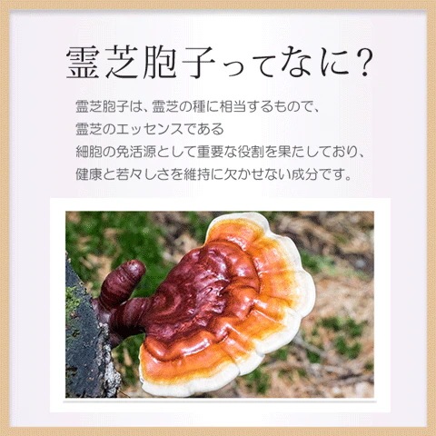 霊芝胞子 サプリ 純度100% 破壁霊芝胞子粉 お得な3本セット 360粒 90日分 国際博覧会品質大賞獲得 霊芝胞子 サプリ 純度100% 破壁霊芝胞子粉 お得な3本セット 360粒 90日分 国際博覧会品質大賞獲得