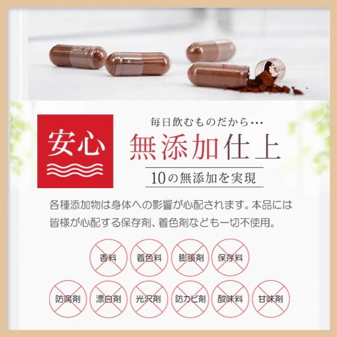 霊芝胞子 サプリ 純度100% 破壁霊芝胞子粉 お得な3本セット 360粒 90日分 国際博覧会品質大賞獲得 霊芝胞子 サプリ 純度100% 破壁霊芝胞子粉 お得な3本セット 360粒 90日分 国際博覧会品質大賞獲得