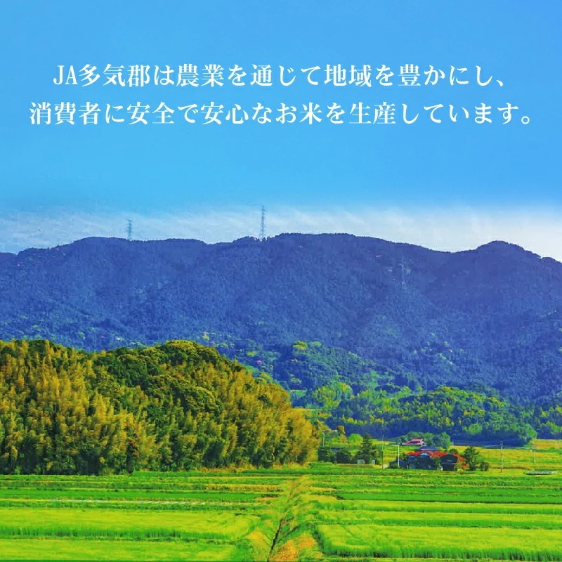 令和6年産 無洗米 三重県産コシヒカリ 5kg 銀姫 SI 令和6年産 無洗米 三重県産コシヒカリ 5kg 銀姫 SI