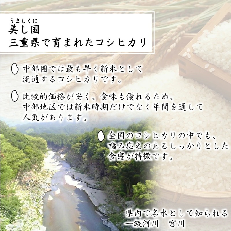 令和6年産 無洗米 三重県産コシヒカリ 5kg 銀姫 SI 令和6年産 無洗米 三重県産コシヒカリ 5kg 銀姫 SI