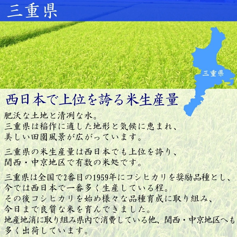 令和6年産 無洗米 三重県産コシヒカリ 5kg 銀姫 SI 令和6年産 無洗米 三重県産コシヒカリ 5kg 銀姫 SI