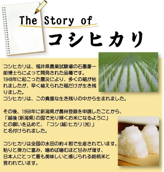令和6年産 無洗米 三重県産コシヒカリ 5kg 銀姫 SI 令和6年産 無洗米 三重県産コシヒカリ 5kg 銀姫 SI
