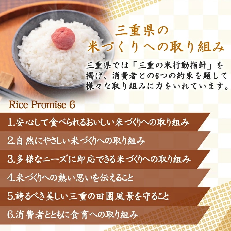 令和6年産 無洗米 三重県産コシヒカリ 5kg 銀姫 SI 令和6年産 無洗米 三重県産コシヒカリ 5kg 銀姫 SI
