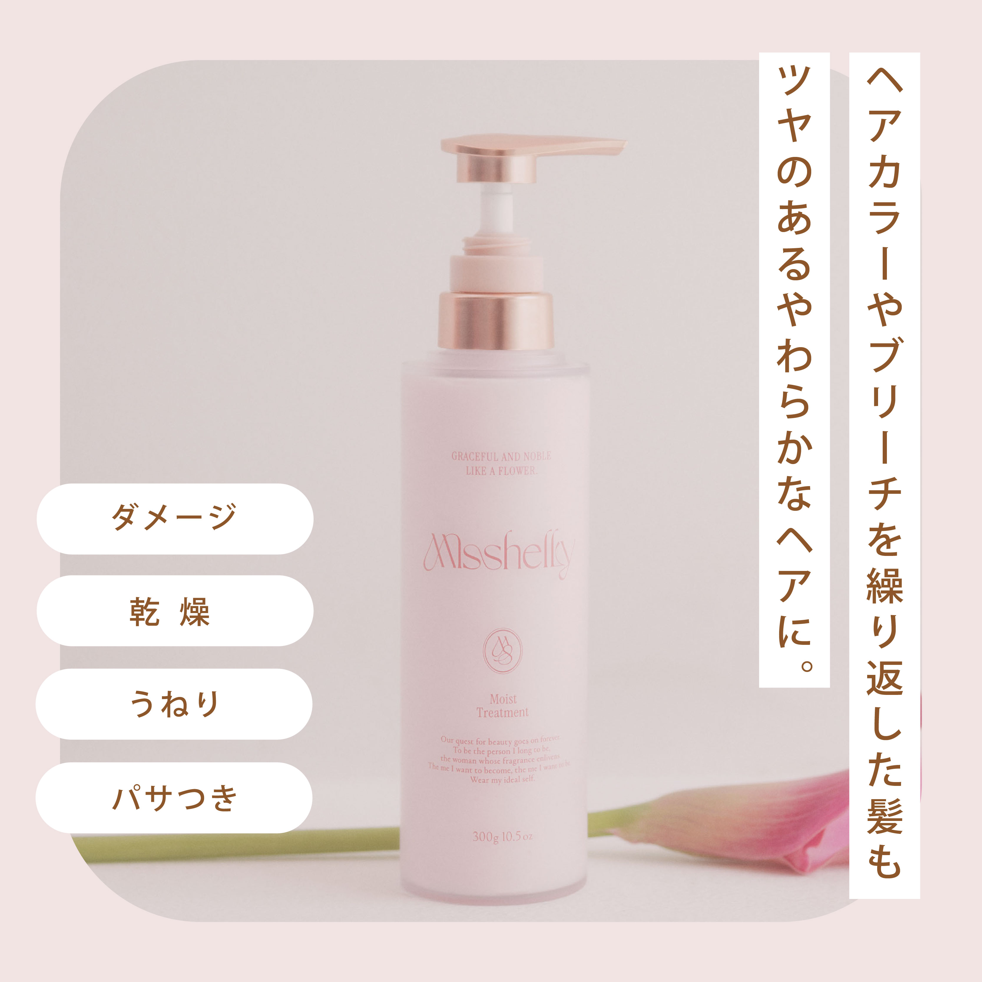 Qoo10] Misshelly ミスシェリー シャンプー&トリートメント