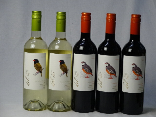 チリ白赤ワイン5本セット デルスール カルメネール ミディアムボディ3本 デルスール ソーヴィニヨ チリ白赤ワイン5本セット デルスール カルメネール ミディアムボディ3本 デルスール ソーヴィニヨ