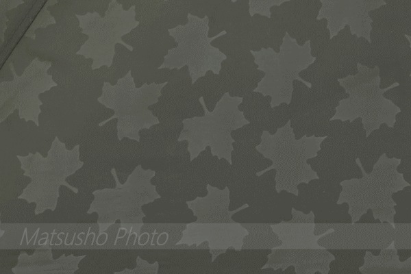 ヘキサ型タープ タープ ロゴス LOGOS neos ヘキサタープセット L-BB 71208000 ヘキサ型タープ タープ ロゴス LOGOS neos ヘキサタープセット L-BB 71208000