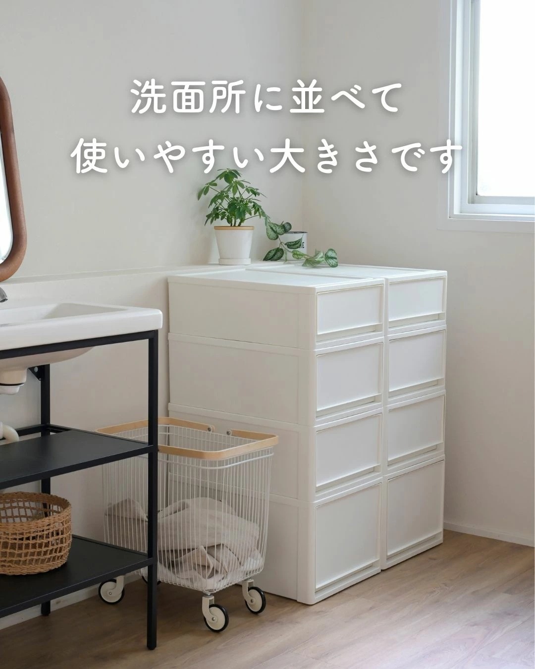 4個組 M 中が透けない 収納ケース 引き出し 奥行き53 収納ボックス 幅39 奥行53 高さ22 cm 衣装ケース 押入れ収納 押入れ クローゼット収納 クローゼット WIC ポリプロピレン