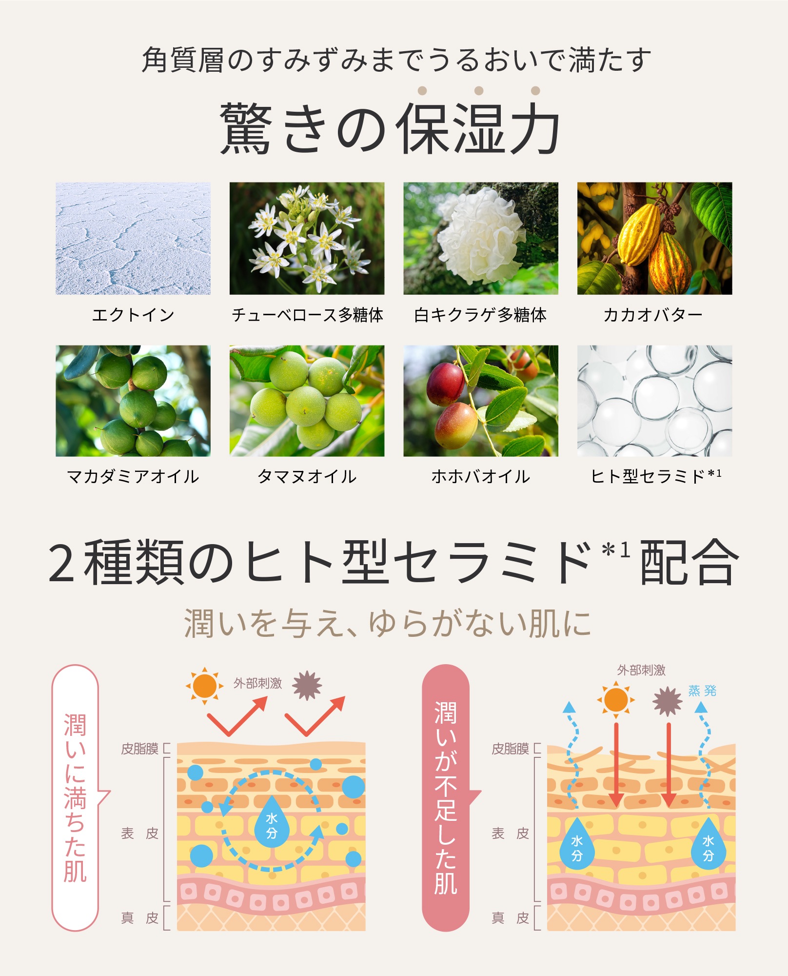 バクチオール 高濃度 次世代 レチノール 美容液 クリーム スキンケア セット【製薬会社と共同開発】 バクチオール 高濃度 次世代 レチノール 美容液 クリーム スキンケア セット【製薬会社と共同開発】