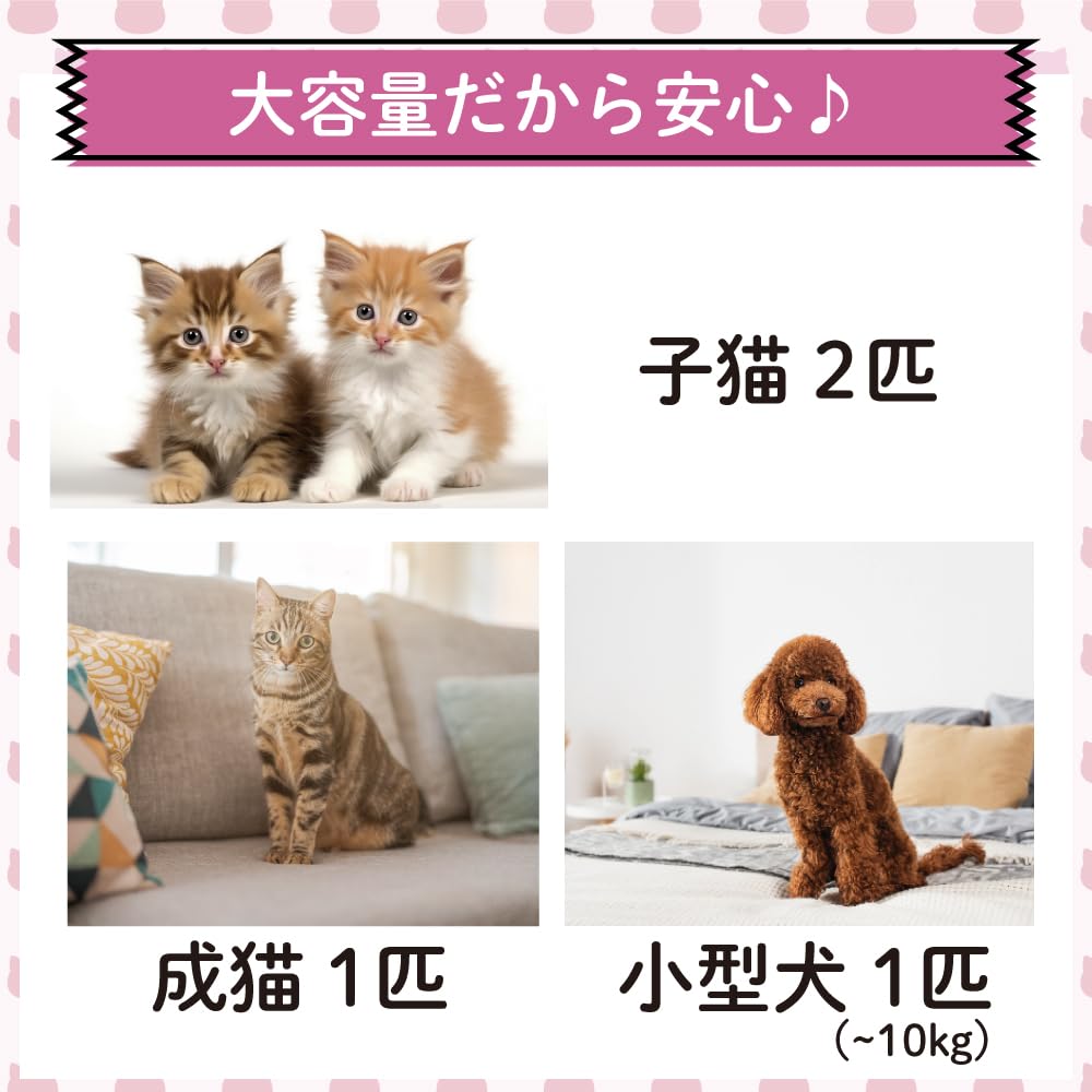 ベストアンサー ペットドライヤー ドライルーム ドライハウス ペットドライルーム 犬 猫 自動 ペット 乾燥箱 急速乾燥ケース 静音 オールシーズン お手入れ簡単 ハンズフリー ドライヤーボックス 日