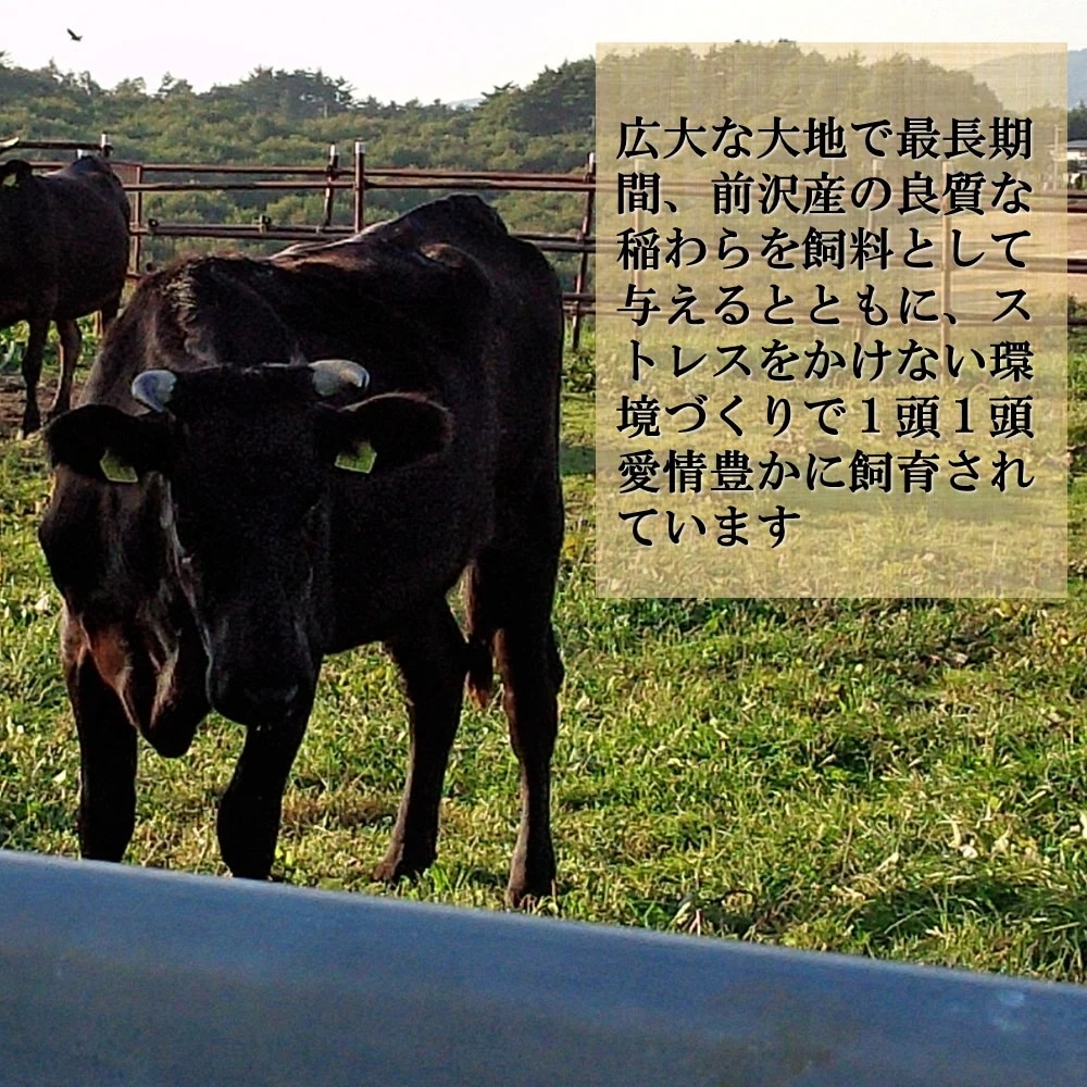 前沢牛焼肉用 肩ロース230g 黒毛和牛 鮮やかな霜降り とろけるような舌ざわり 風味 逸品 前沢牛焼肉用 肩ロース230g 黒毛和牛 鮮やかな霜降り とろけるような舌ざわり 風味 逸品