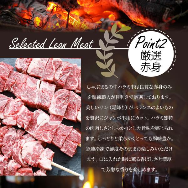牛ハラミ串 20本セット (合計1.6kg) 牛串 肉 牛 ハラミ 学園祭 屋台 業務用 串焼き BBQ バーベキュー キャンプ 冷凍