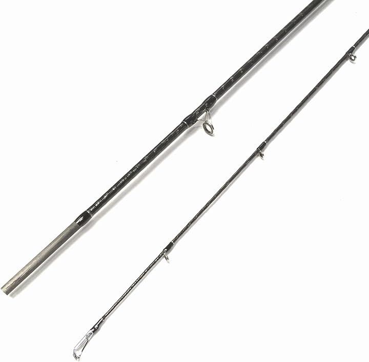 7フィート 2.1m ベイトロッド 2ピース バスロッド シーバスロッド トラウトロッド ロックフィッシュロッド(7ft(2.1m)ベイトロッド2ピース(M), 7ft) 7フィート 2.1m ベイトロッド 2ピース バスロッド シーバスロッド トラウトロッド ロックフィッシュロッド(7ft(2.1m)ベイトロッド2ピース(M), 7ft)