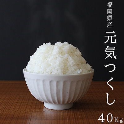 うるち】 元気つくし : 米 お米 40kg 元気つくし (5kg : 米・雑穀 けるよう