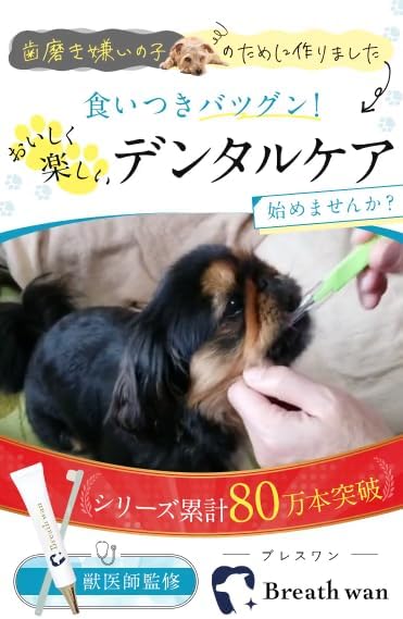 ブレスワン 犬 犬用 Breath wan 30g 4点セット 犬用 デンタルケア