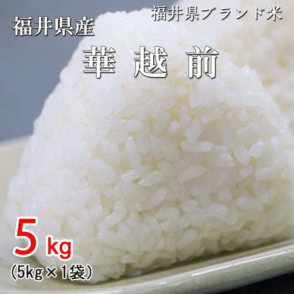 Qoo10] 令和5年産福井県産 華越前5kg米農家さ