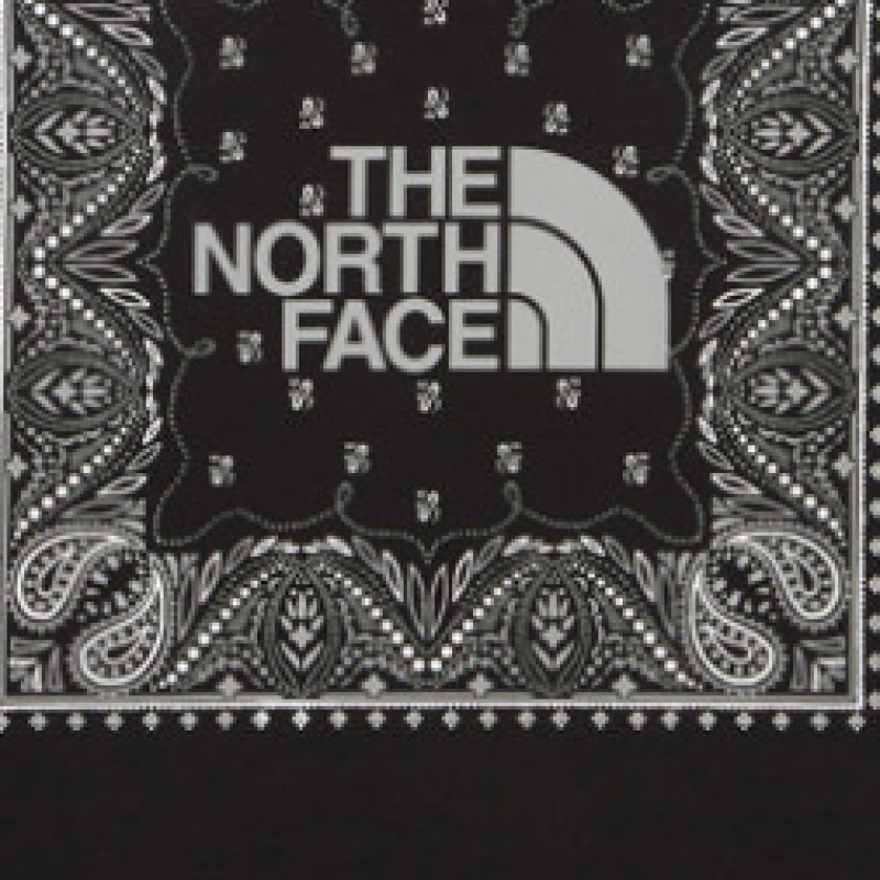 ノースフェイス メンズ バンダナ S/S R/TEE MNT7UR13A-BLK