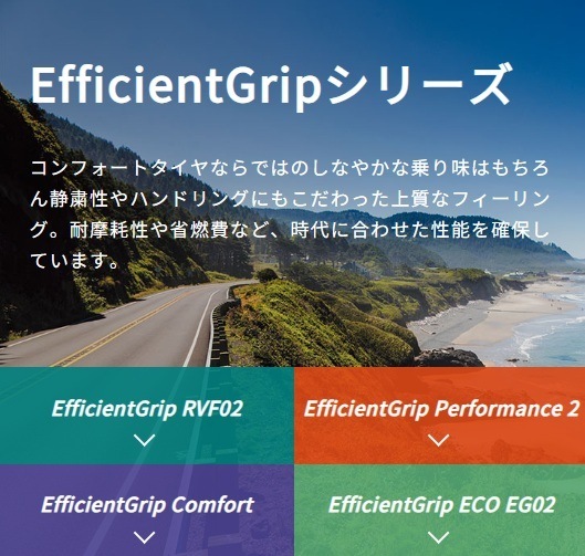 25年製 EfficientGrip ECO EG02 175/65R14 82S 夏タイヤ 高コスパ 低燃費 ウェット性能 [営業日午前着金で当日出荷][取付け店へ直送OK]