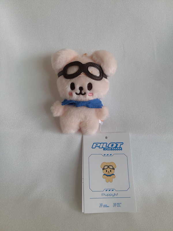 StrayKids Pilot PLUSH 10cm ぬいぐるみ PuppyM - アイドル