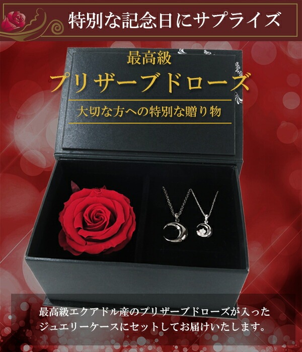 刻印無料 close to meムーンレッドダイヤモンドシルバーペアネックレス ネックレス ペア