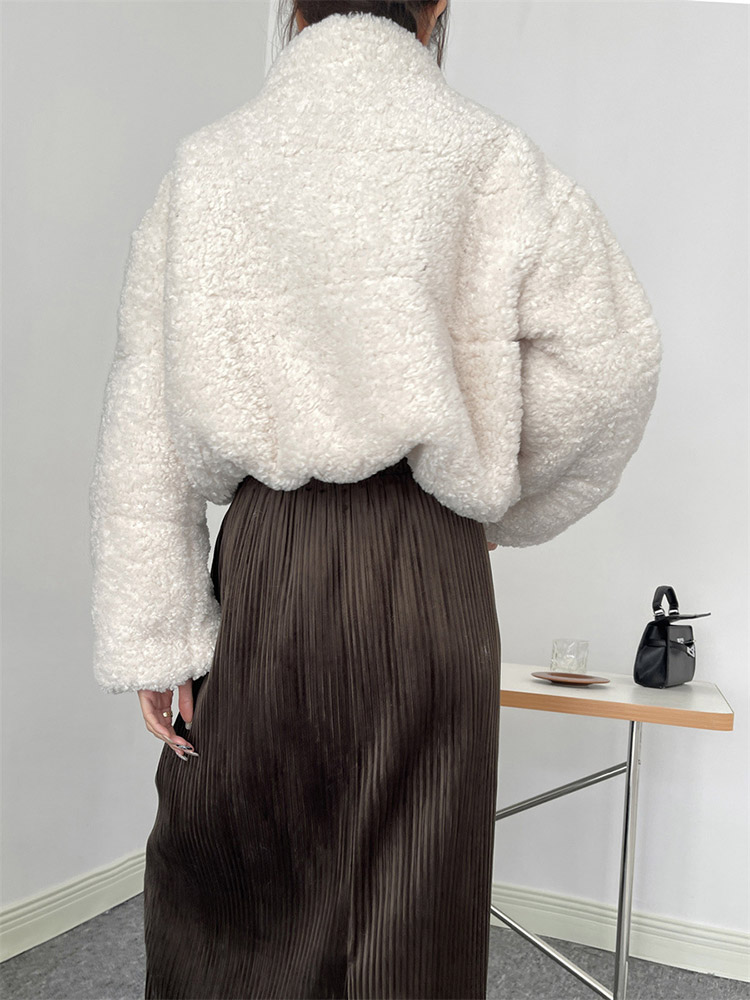 ボア ジャケット レディース 韓国 アウター コート 厚手 生地 ブルゾン フリース 冬 秋冬 秋 ボアブルゾン ゆったり ショート丈 シンプル