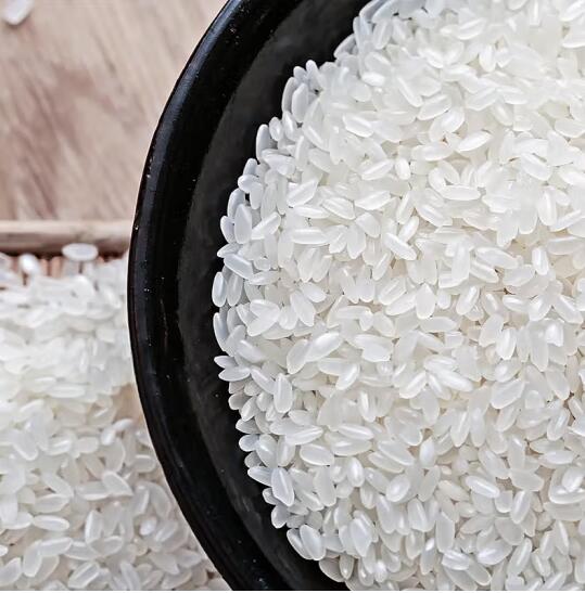 長袖ブラウス ブラウス 港風 立ち襟 ワイシャツ ランタン袖 ゆったり 百掛け 無地 長袖ブラウス ブラウス 港風 立ち襟 ワイシャツ ランタン袖 ゆったり 百掛け 無地