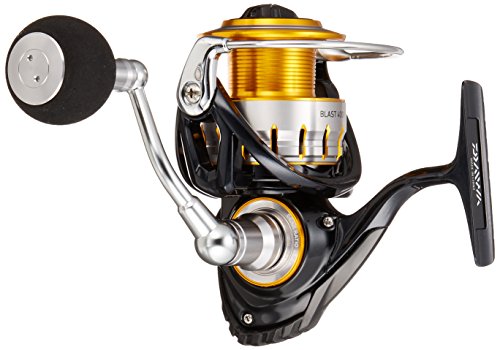 ダイワ(DAIWA) ... : アウトドア スピニングリール 国産大得価