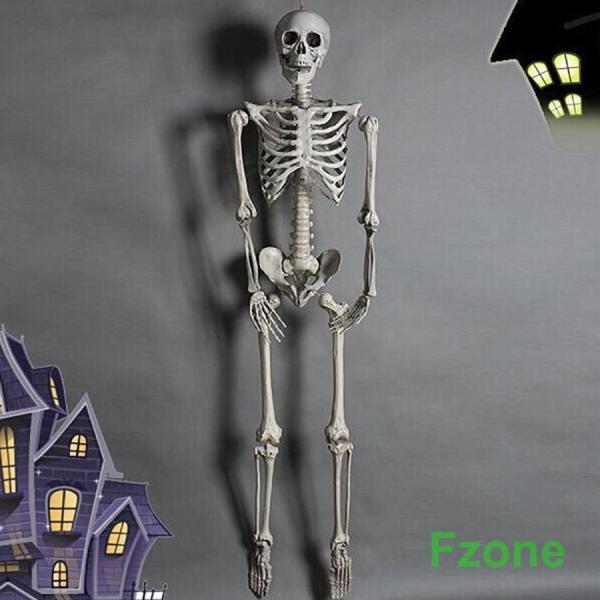 ハロウィン コスプレ パーティー 骸骨 ガイコツ 骨 等身大 置物 約165cm ホラー リアル 本格的 飾り付け 室内 置物 仮装 クリスマス用品 怖い 恐怖 ハロウィン コスプレ パーティー 骸骨 ガイコツ 骨 等身大 置物 約165cm ホラー リアル 本格的 飾り付け 室内 置物 仮装 クリスマス用品 怖い 恐怖