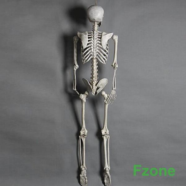 ハロウィン コスプレ パーティー 骸骨 ガイコツ 骨 等身大 置物 約165cm ホラー リアル 本格的 飾り付け 室内 置物 仮装 クリスマス用品 怖い 恐怖 ハロウィン コスプレ パーティー 骸骨 ガイコツ 骨 等身大 置物 約165cm ホラー リアル 本格的 飾り付け 室内 置物 仮装 クリスマス用品 怖い 恐怖