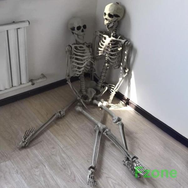 ハロウィン コスプレ パーティー 骸骨 ガイコツ 骨 等身大 置物 約165cm ホラー リアル 本格的 飾り付け 室内 置物 仮装 クリスマス用品 怖い 恐怖 ハロウィン コスプレ パーティー 骸骨 ガイコツ 骨 等身大 置物 約165cm ホラー リアル 本格的 飾り付け 室内 置物 仮装 クリスマス用品 怖い 恐怖
