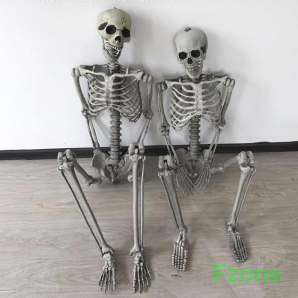 ハロウィン コスプレ パーティー 骸骨 ガイコツ 骨 等身大 置物 約165cm ホラー リアル 本格的 飾り付け 室内 置物 仮装 クリスマス用品 怖い 恐怖 ハロウィン コスプレ パーティー 骸骨 ガイコツ 骨 等身大 置物 約165cm ホラー リアル 本格的 飾り付け 室内 置物 仮装 クリスマス用品 怖い 恐怖