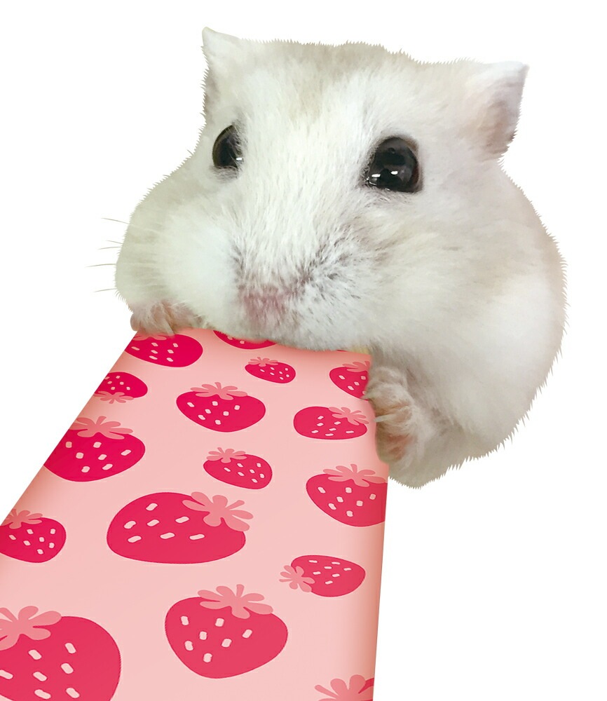 （まとめ買い）はむはむぴゅーれ イチゴ風味 5gx6本 ハムスター用フード [x16]