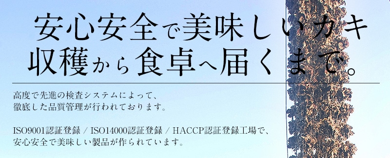 カキ かき 牡蠣 剥き身 2kg(1kg2袋/解凍後1.7kg/大粒2L約5270粒)広島県産 カキ かき 牡蠣 剥き身 2kg(1kg2袋/解凍後1.7kg/大粒2L約5270粒)広島県産