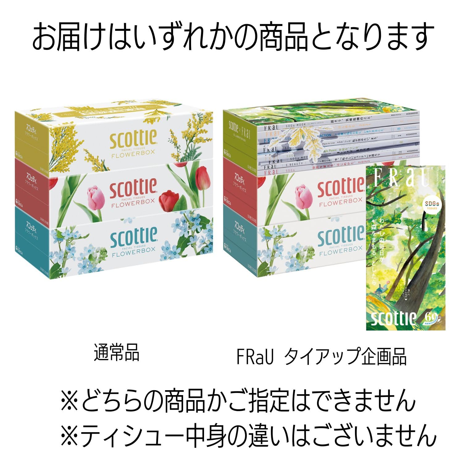 【ケース販売】 スコッティ フラワーボックス 長持ちティシュー 500枚(250組) 3箱 ×18入り 【ケース販売】 スコッティ フラワーボックス 長持ちティシュー 500枚(250組) 3箱 ×18入り