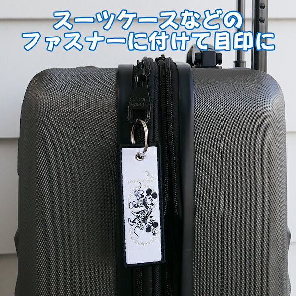 フライトタグ コンプリートセット ディズニー 100周年 記念 グッズ Qoo10] Disney100 フライトタグ ディズ